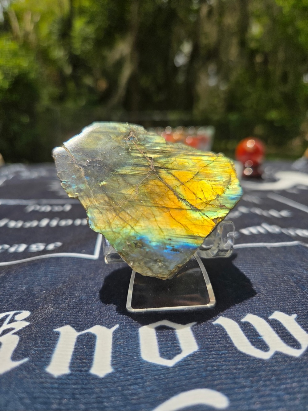 Iridescent Labradorite Free form half polished
